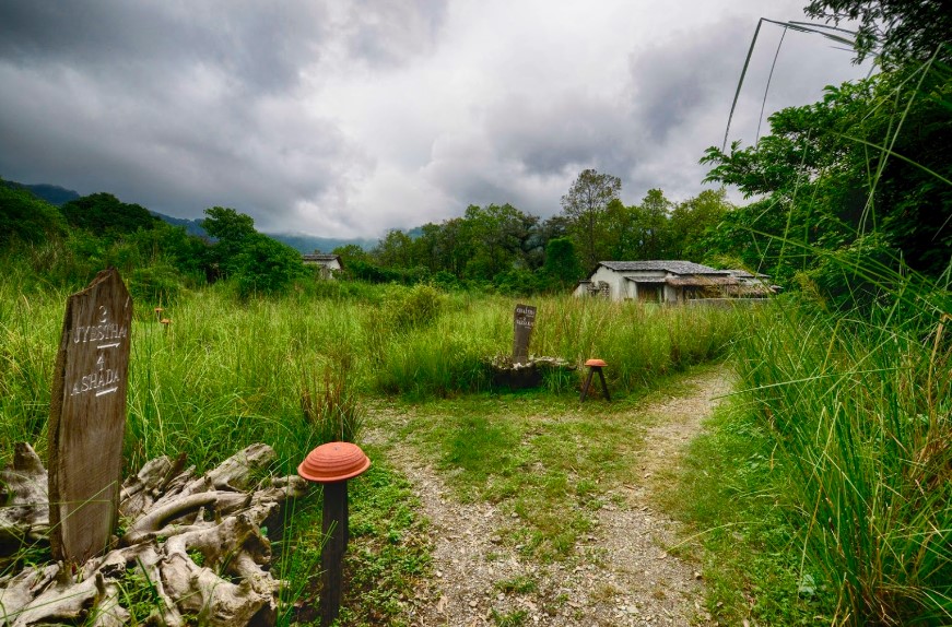 jim corbett national park resorts