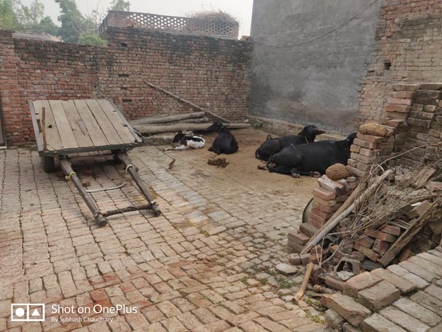 TITH PALU VILLAGE HOUSE VIEW-VILLAGE LIFE IN INDIA