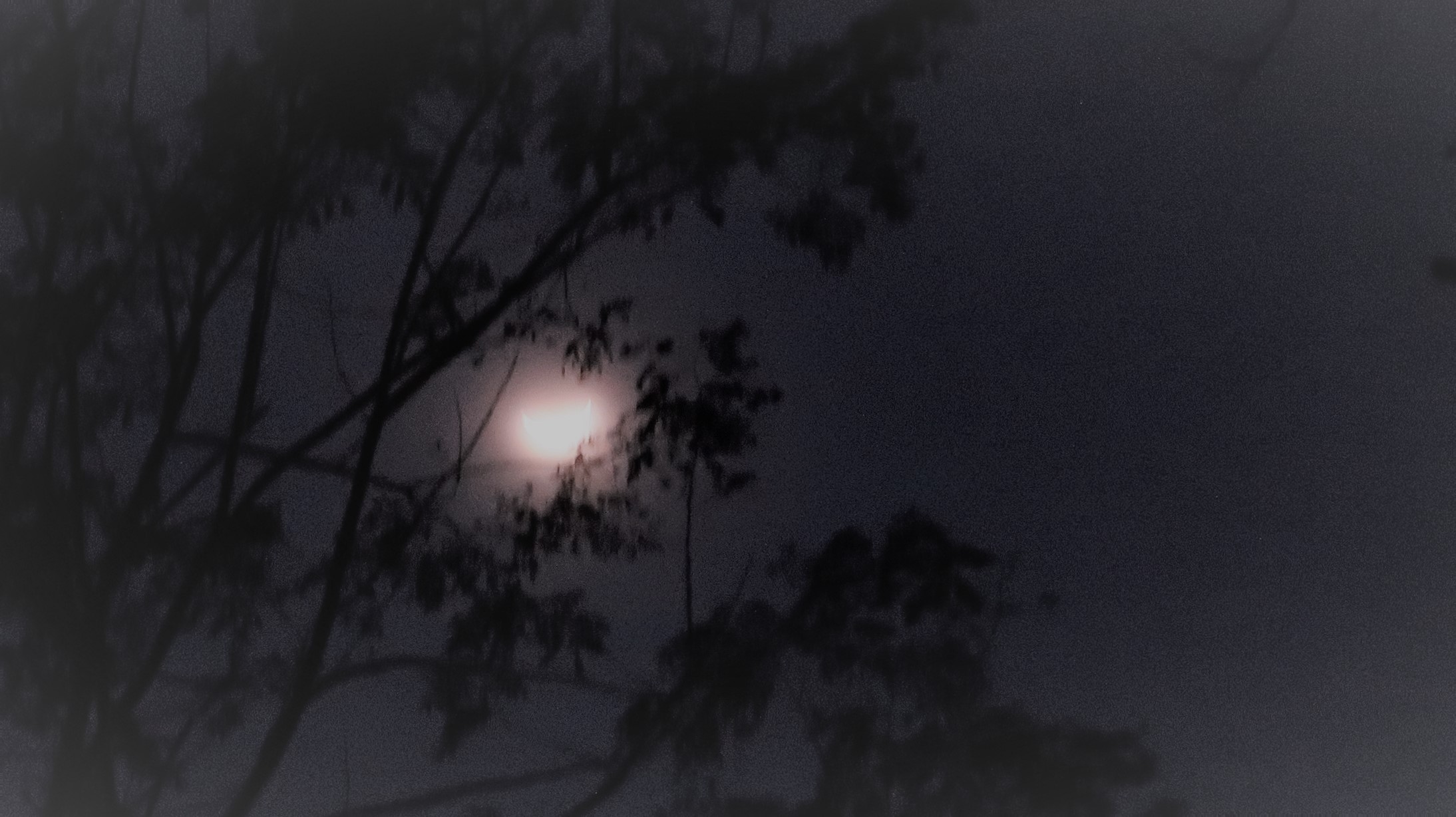 Moon view from Mundiyapani forest rest house