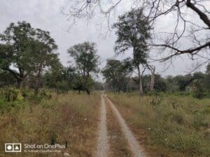 raja ji national park