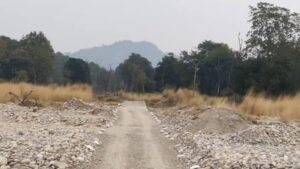 children entry fee in Corbett National Park, now they will not charge any Entre Fee for children in Corbett National Park