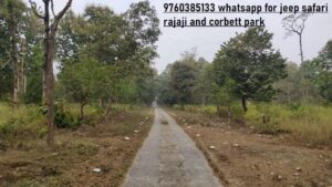 rajaji national park jeep safari booking