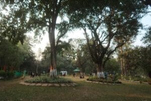 Lachhiwala picnic spot