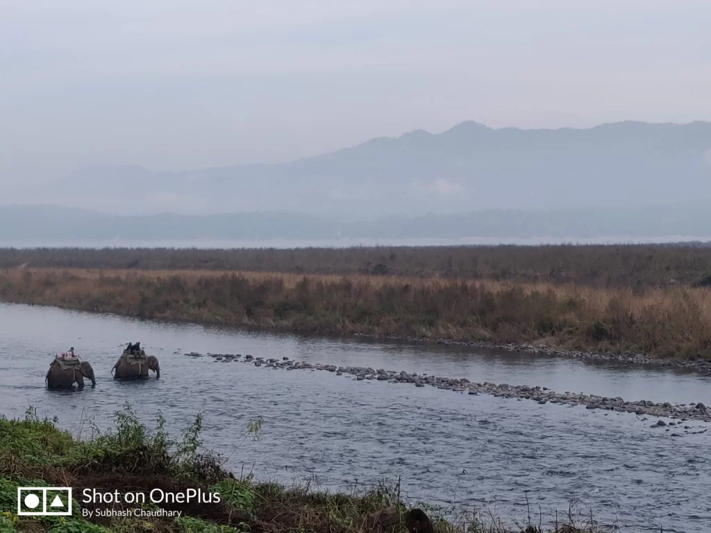 dhikala jim corbett