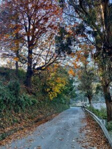 RAMGARH UTTARAKHAND