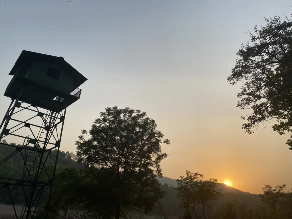 machan at jim corbett national park